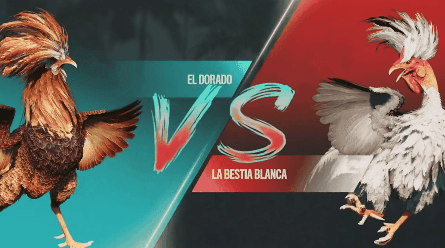 t44 Login para Apostas Esportivas